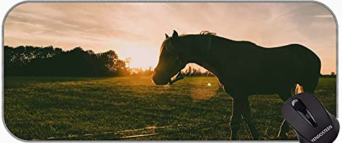 XXL GAMING TOURY PAD GRANDE DESK Pads, Dawn Equine Europe Office Mouse Pad