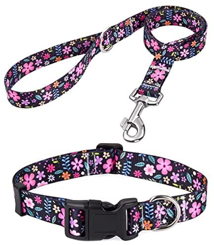 Mihqy Hundehalsband und Leine Set, Verstellbares, Weich & Komfort Nylon Hunde Halsband für Kleine Mittlere Große Hunde Welpen Katzen(Blumen Set,XS)