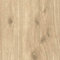BRICOFLOR Vliestapete | Tapete Holzoptik Holz-Tapete - Tapete Büro - Beige / Crème, Braun | 10,05 x 0,53 m = Rolle 5.33 m²
