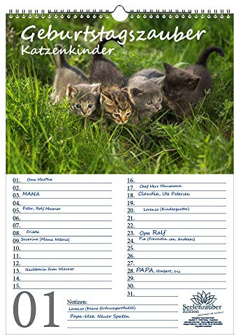 Geburtstagsplaner Geburtstagskalender Katzenkinderzauber DIN A3 Kalender Katzenkinder Katzenbabys - Seelenzauber