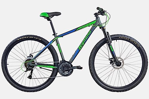 Legnano Andalo, MTB 29 Zoll Herren, Grau Matt, Blau und Grün, 40