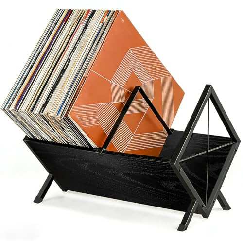 CASDUCT Porta Dischi in Vinile, Porta Dischi da 80-100 LP, Nero | 40 x 30 x 30 cm, Ripiano a 1 Ripiano con Divisore Antiscivolo, Organizer per CD, Album, Riviste, Libri
