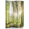 Feeby Paravent Wald Baum Sonne Natur 110x150 cm 3 Teilig Modern Design beidseitig Raumteiler Wandschirme Foto Trennwand Raumtrenner Sichtschutz Spanische Wand auf Leinwand Bedruckt Landschaft Grün
