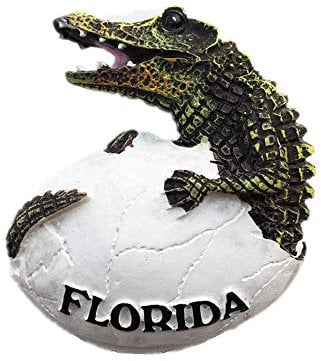 Crocodile of Florida USA 3D Fridge Magnet Souvenir Gift, Home & Kitchen Decoration Magnetic Sticker Florida USA Refrigerator Magnet Collection
