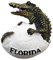 Crocodile of Florida USA 3D Fridge Magnet Souvenir Gift， Home & Kitchen Decoration Magnetic Sticker Florida USA Refrigerator Magnet Collection
