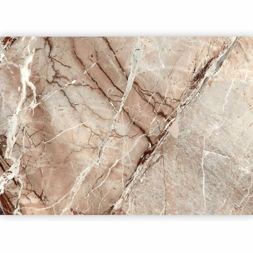 murando - Papier peint panoramique artistique 300x210 cm - Revêtement mural décoration pour chambre salon - Design unique et moderne - Marron blanc gris - Texture de fond en marbre f-C-0484-a-a