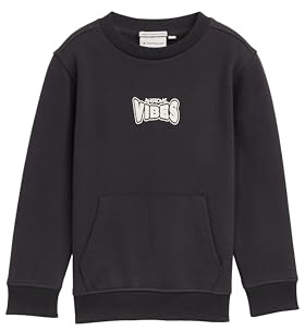 Tom Tailor Jungen 1047486 Kinder Sweatshirt mit Print (1er Pack)