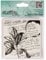 docrafts Papermania Quadratische Cling Urban Stempel, 10,2 cm, Folium