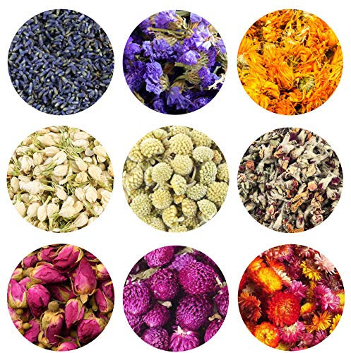 TooGet Blütenblätter Und Knospen Enthält Lavendel, Vergissmeinnicht, Ringelblume, Jasmin, Scindapsus, Rose, Gomphrena Globosa, Strohblume, Getrocknete Blumen Perfekt Für Alle Arten Von Kunsthandwerk