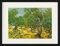 1art1 Vincent Van Gogh Poster Olivenhain, 1889 Gerahmtes Bild Mit Edlem Passepartout | Wand-Bilder | Im Bilderrahmen 80x60 cm