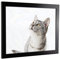 myposterframe Komfort Juno 61 x 91 cm Rahmen Schwarz