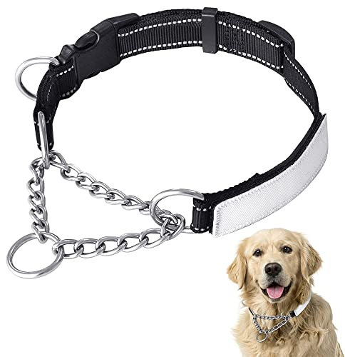 DYD Martingale dog collars with name plate, reflective nylon collar and stainless steel chain on the side, adjustable training collars