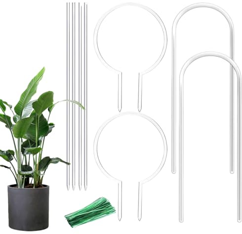Generico Rankgitter aus Acryl - Rundes Rankgitter für Wohnung, transparent für Kletterpflanzen, stabil mit für | Ständer, für Gemüse, P