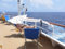 SONNENSCHIRME - SCHIFF - REISE Fächerschirme - AIDA - STABIELO ® CLASSIC - FARBE - BORDEAUX - NO. 461 - HUSUM - ZANGENBERG - Polyester 160 Gramm - UPF 30+40+50 - wetterfest - wasserabweisend - Lichtechtheit 5-6 - aufgefächert 140 x 70 cm - mit Holly 360 ° Universalgelenkhalterung ®Edelstahlkonus (40 EUR) und Gummischutzkappen - INNOVATIONEN MADE in GERMANY - HOLLY PRODUKTE STABIELO ® - Für Befestigungen von Ø 35 - 55-60 mm MULTIHALTER STGVC 5530 gegen AUFPREIS von 10 EUR -