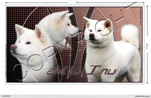 Pets-easy Rechteckige Aufkleber Hund 36cm Akita Inu