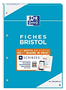 Bloc bristol 2.0 OXFORD perfore a4 30 fiches 210g quadrille 5mm