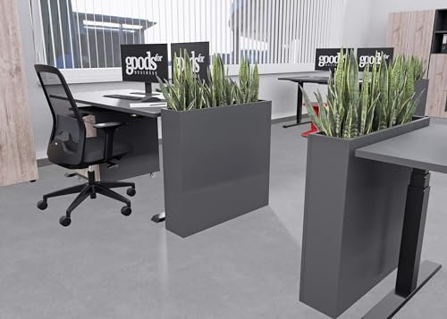 Eigentlich Pflanzkasten Indoor, B80xH77xT18 cm, Pflanzenkübel aus Holz als Sichtschutz für Schreibtisch, Raumteiler bepflanzbar, Pflanzenbehälter (Gefäß Standard, Anthrazit)