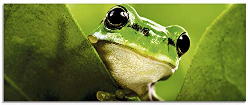 ARTland Wanddeko Glasbilder Wandbild Glas Bild einteilig 125x50 cm Querformat Natur Tiere Frosch Amphibien Pflanzen Blätter T5VH