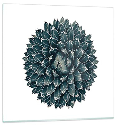 Moderne Impression sur Verre 40x40cm Image Tableau en Verre Decoration Murale Agave Reine Victoria Petit Tableaux Decoratifs Muraux Chambre Cuisine Carré Deco Cadre Salon Art Wall Decor GAC40x40-4129