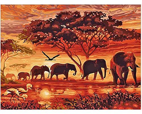 Square Diamond Painting Erwachsene 50x40cm Eckige Steine Puzzle Diamant Mosaik Klebebilder Quadratische Steine Diamant Painting Bilder Groß Kreuzstich Set Tiere Elefant Sonnenuntergang Aufkleber