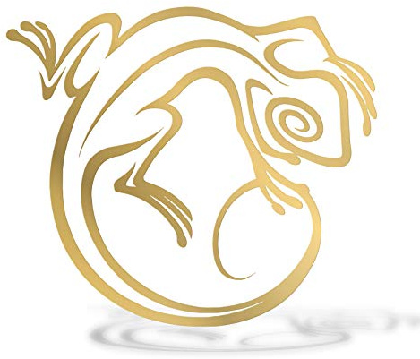 Erreinge Aufkleber prespaced Gold-12Cm - Gecko lizard - Vinyl-Aufkleber Aufkleber Aufkleber Mural Laptop Auto Moto Helm Camper