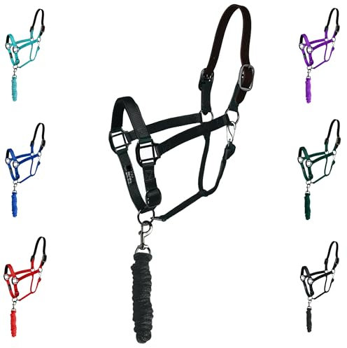 Majestic Ally Leather HeadCollar Halter with Matching Lead Rope for Horses – Leather Breakaway Crown - Adjustable Chin Strap – Rolled Throat Latch – Padded Noseband – Full (Black-Black Nickel, Full)
