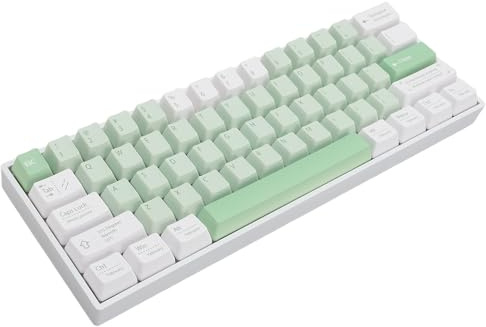 Sxhlseller 60 Percent Mechanical Keyboard, 61 Key 2.4G/ 5.0 RGB Backlit Gaming Keyboard with N Key Rollover, 3000mAh Battery, White Base