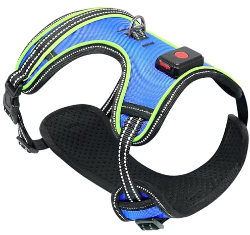 Ezierfy Leuchtendes Hundegeschirr, wiederaufladbares LED-Hundegeschirr, reflektierende Hundeweste, Anti-Zug-Haustiergeschirr für Hunde, die nachts spazieren gehen (Blaues + Grünes Licht, XS)
