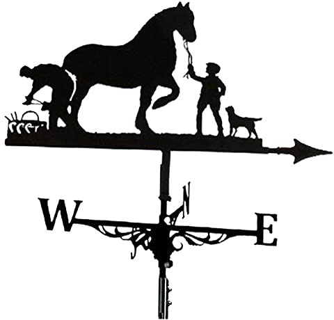 Dacvgog Metal Weathervane and Horse Mount Weather Vane Wind Direction Indicator