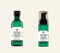 The Body Shop Tea Tree Duo Set 100% vegane Gesichtsreiniger, 150 ml und mattierendes Toner 250 ml