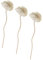 Cabilock 3 Stück Aromatherapie Rattan Diffusoren Rein Duftende Duftöle Auto Aromatherapie Öldiffusor Automatisches Spray Aromatherapie Diffusor Sense Und Spray Nachfüllung