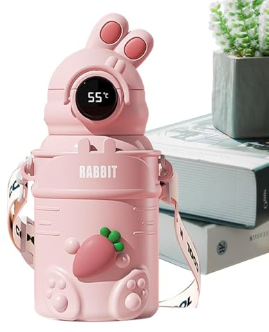 Coupe d'eau - bouteille d'eau en acier inoxydable avec paille, 500 ml de jolie bouteille d'eau en acier inoxydable isolé | Affichage à température numérique Tasse de voyage, bouteille d