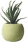 Hbbgdiy Macetas de Plantas de cerámica, macetas Minimalistas de Agua Absorbente con una Gran Apertura y Maceta de cerámica Transpirable para Plantas Interiores y Exteriores, Verde