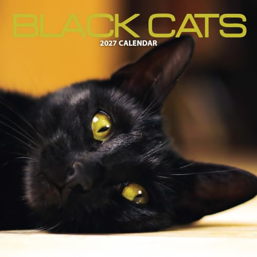 Black Cat Kalender 2027