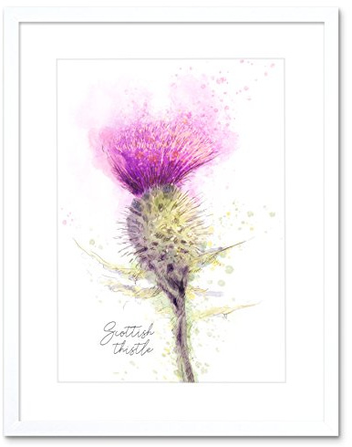 Wee Blue Coo Scottish Thistle Flower Head Watercolour Scotland Framed Art Print