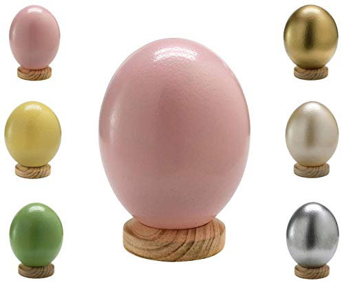 Klocke Dekorationsbedarf Uovo di struzzo sudafricano colorato, di alta qualità, 1 pezzo (senza piedistallo), svuotato, soffiato e pulito (rosa)