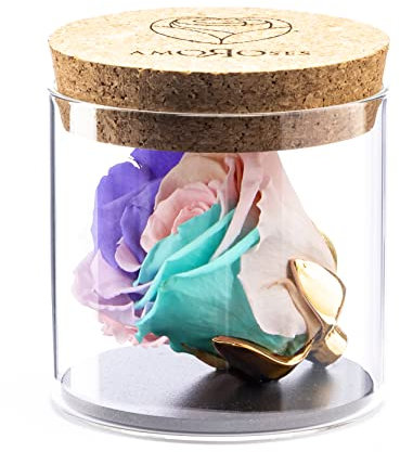 Amoroses Bijou - Rosa Stabilizzata Eterna con Calice Placcato Oro 24K in Barattolo di Vetro | Idea Regalo (Rosa Multicolore Unicorno)