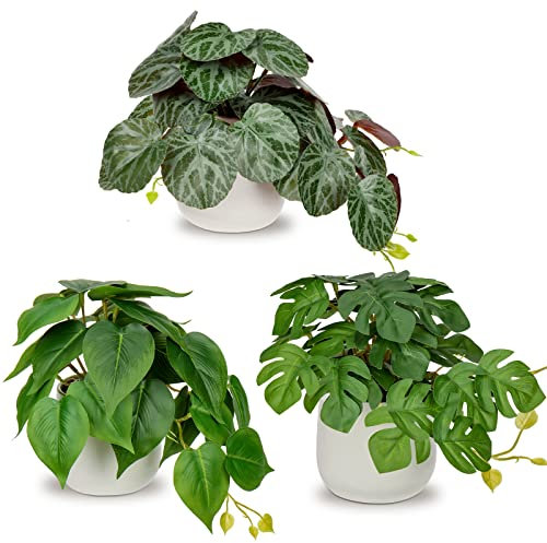 3er-Set Kunstpflanze Hängend Deko Pflanzen im Keramiktopf Mini Kunstpflanze Monstera und Philodendron Dekoration Modern für Home Office Badezimmer Küche und Innendekoration