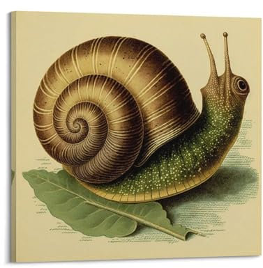 Vintage-Poster mit Schnecke, dekoratives Leinwandbild, Wand- und Kunstposter, Gemälde, 70 x 70 cm