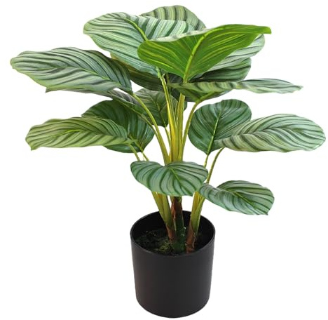 Planta Artificial calathea orbifolia de PU 4 Horquillas en Verde 20x20x50 cm