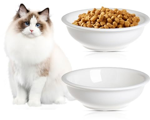 NomDeMarque Gamelle en Céramique Surélevée: 2 Pièces Gamelle Élégante pour Chat, Gamelle Antidérapante, pour La Maison (Blanche/360ml)
