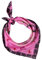 Passigatti Oktoberfest Habotai Nikituch pink, 100% Seide, 53 x 53 cm