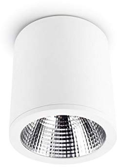 PLAFÓN EXIT 1 X LED 33.7 BLANCO - 100-240VAC/50-60Hz - Aluminio, Policarbonato - 1xLED 33.7 2740.60 lm - LED A++