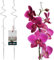 KOTARBAU® 2er Set Pflanzenstütze Transparent PVC 58 cm Spirale Blumenstütze Rankhilfe Zimmerpflanzen Blumenstütze Garten Orchideenstab Stützstab Pflanzen dekorative Pflanzenhalter Zimmerpflanzen Ranks