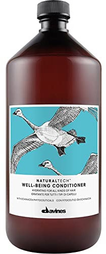 Davines Naturaltech Well-Being Conditioner 1000ml (Salon Size)