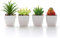 Veryhome Fake Suculentas Plantas Artificiales En Macetas En Mini Macetas Cuadradas Blancas para Jardín De Casa Decoración Verde (Maceta de plástico)