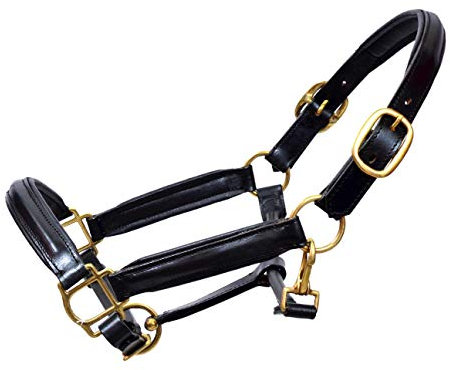 LEATHER HORSE HEADCOLLAR HALTER FULLY RAISED AND PADDED BLACK COLOR BRASS FITTING (FULL)