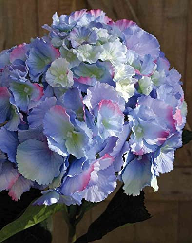 artplants.de Ortensia Artificiale Angelina, Blu-Viola, 70cm, Ø23cm - Ortensie Artificiali