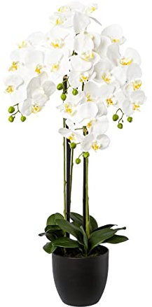 creativ home Kunstblume PHALENOPSIS ca 100 cm weiß, Weiss. Orchidee im schwarzen Resintopf 19 cm.