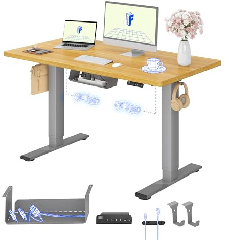 FLEXISPOT Höhenverstellbarer Schreibtisch elektrisch, Doppelmotor 120x60 cm | 25 mm einteilige Tischplatte, Kabelmanagement & Memory-Funktion,ergonomischer Büro-&Computertisch,elektrisch höhenverstellbar